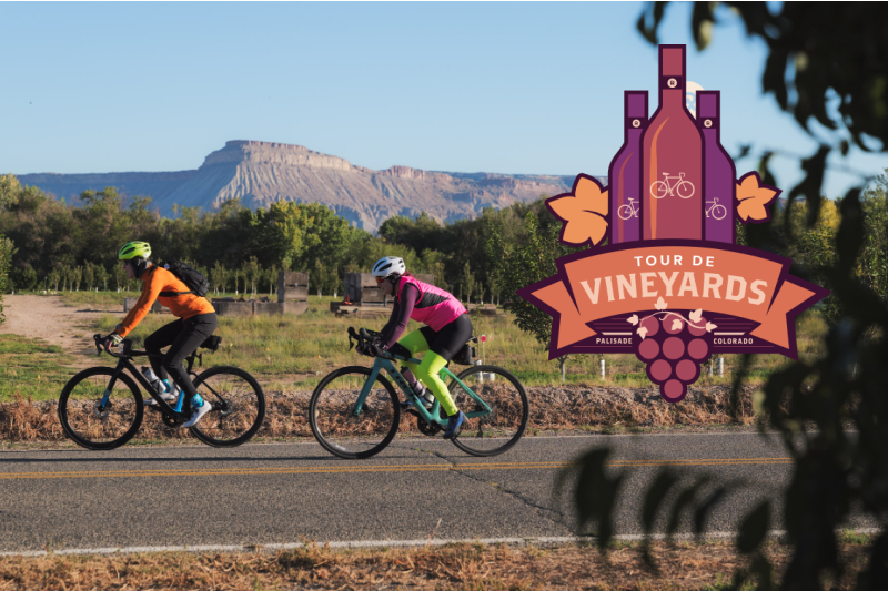 tour de vinyards