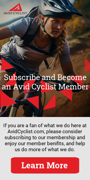 300x600 membership ad