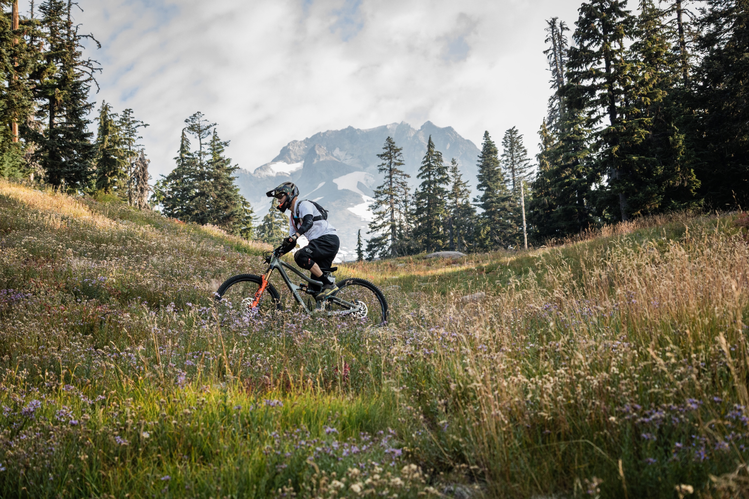 timberline daydream aug. 31 2025 75 scaled.jpg