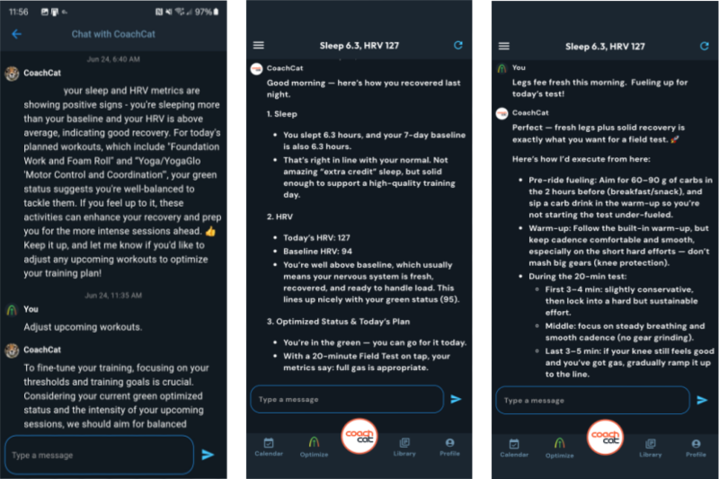 coachcat conversations