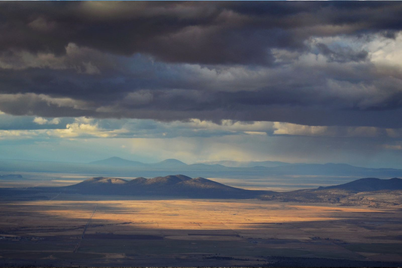 oregon timber trail alliance (16)