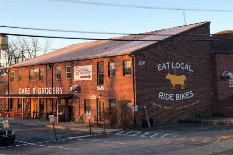 swamp rabbit