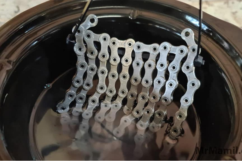 the great chain debate