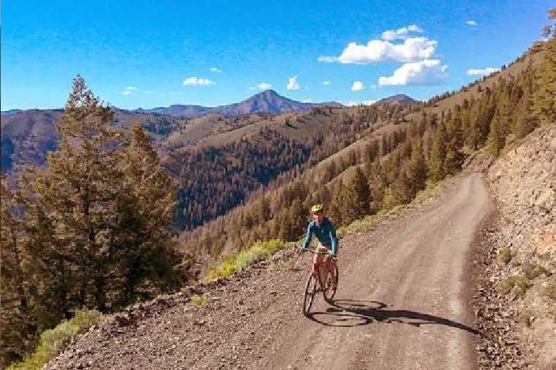 golden gravel trail (2)