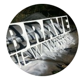 Brave New Wheel