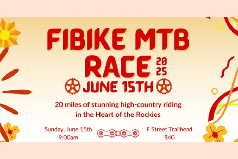 fibike mnt bike