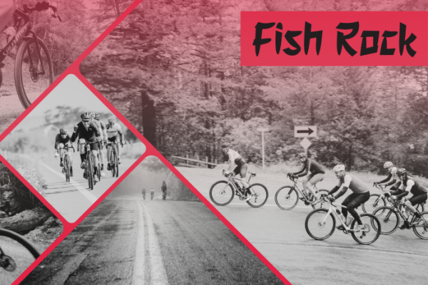 fish rock