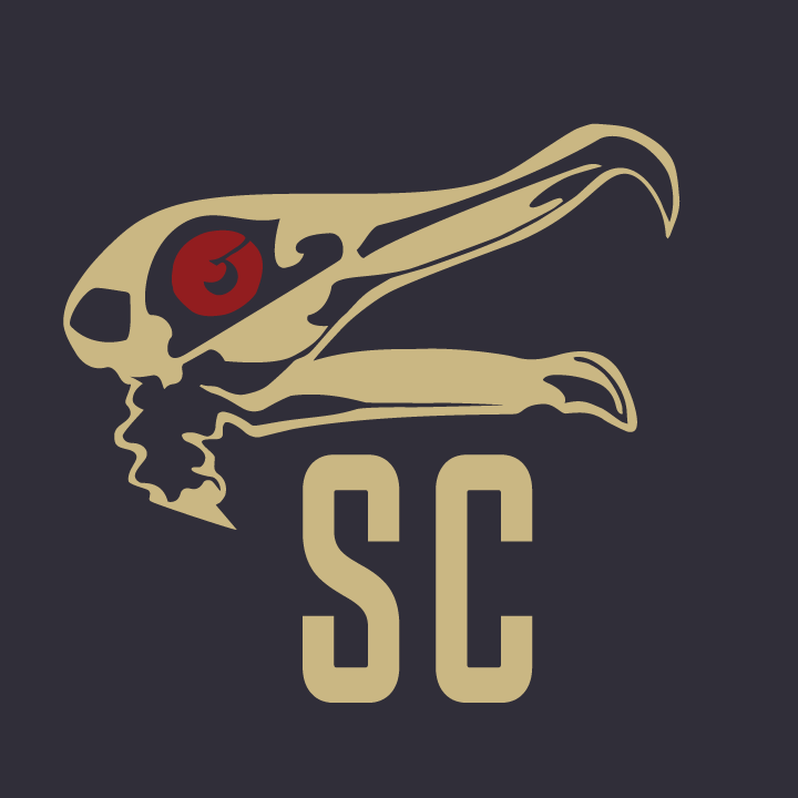 Seagull’s Cycles