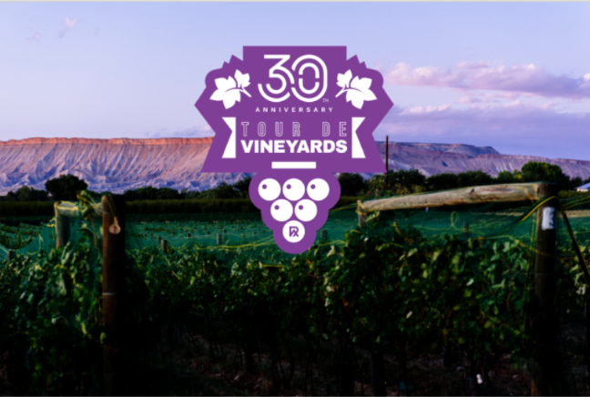 tour de vinyards