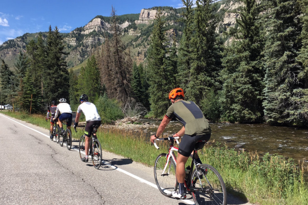 vail octopus