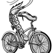 A Street Tour Named Desire / Confederacy of Cruisers