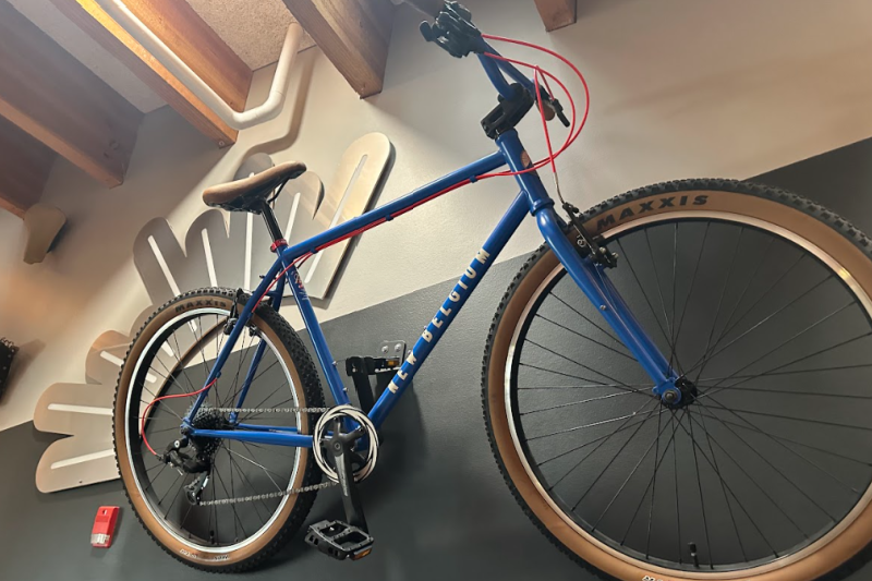 fat tire bike (2)