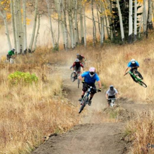 Grassroots Cycles