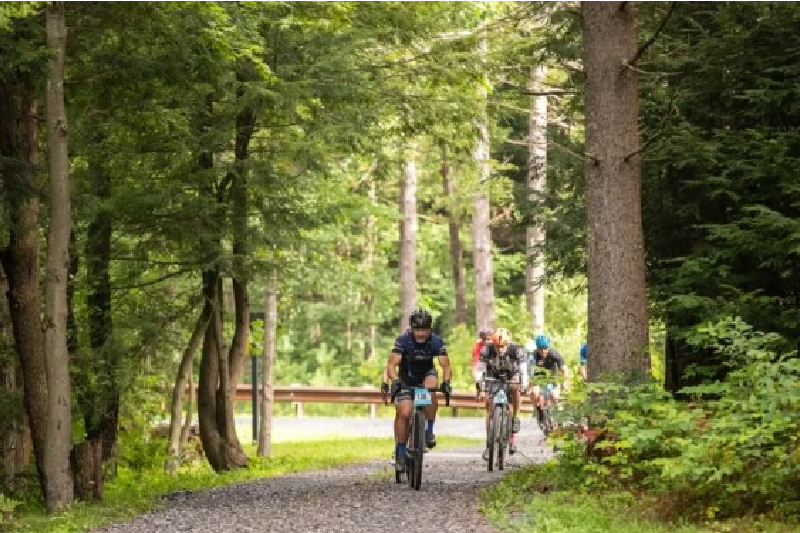 https www.gravelworlds.com (2)