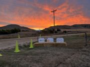 Morning Light Morning Light