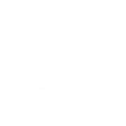 JP Pedicino Photography JP Pedicino Photography