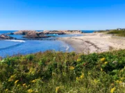 Little Compton Adventures