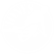 Tony’s Bikes & Sports Tony’s Bikes & Sports